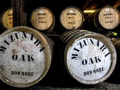 What Is Mizunara Oak and Why It Matters in Japanese Whisky